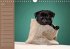 Ein Mops fürs Herz (Wandkalender... - Bild 7