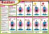 Handball - Schiedsrichterzeichen,... - Bild 2