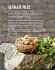 Vegetarisch Grillen - Bild 10
