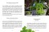 Das große kleine Buch: Mein Garten im... - Bild 4