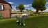 Pferd & Pony: Best Friends - Mein Pferd... - Bild 3