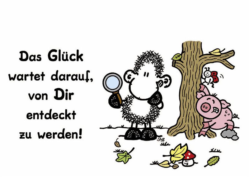 sheepworld Ganz viel Glück! von Steff portofrei bei bücher.de bestellen