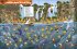 Minions - Wimmelbuch - Bild 2