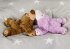 Warmies 1147 - Sleepy Bear lila,... - Bild 2