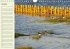 Amrum Geburtstagsmerker (Wandkalender... - Bild 11