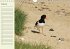 Amrum Geburtstagsmerker (Wandkalender... - Bild 3