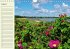 Amrum Geburtstagsmerker (Wandkalender... - Bild 9
