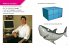 What Is CGI? - Bild 4