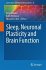 Sleep, Neuronal Plasticity and Brain... - Bild 2