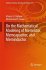 On the Mathematical Modeling of... - Bild 2