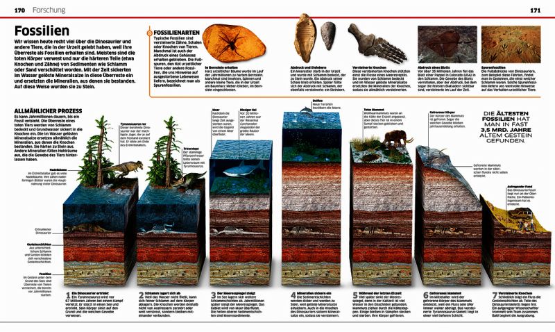 Wissen Dinosaurier Die Urzeitriesen in spektakulären Bildern PDF
Epub-Ebook