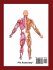 Muscles And Their Exercises - Bild 2