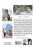 The Comeback Kids -- Book 9 -- The... - Bild 2