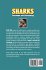 Sharks - Bild 2