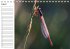 Libellen Geburtstagskalender... - Bild 9