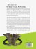 Practices of Wealth Depositing in the... - Bild 2