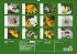 Bienen - Emsige Helfer (Wandkalender... - Bild 14