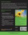 Socket.IO Cookbook - Bild 2