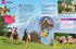 Pferde und Ponys / Was ist was - Bild 11