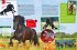 Pferde und Ponys / Was ist was - Bild 10