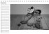 Herr Bär (Tischkalender immerwährend... - Bild 13