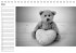 Herr Bär (Tischkalender immerwährend... - Bild 4