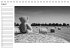 Herr Bär (Tischkalender immerwährend... - Bild 9