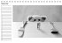 Herr Bär (Tischkalender immerwährend... - Bild 10