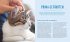 Katzen - Bild 4