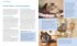 Katzen - Bild 5