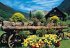 Jumbo 18335 - Alpenblumen - Neu - 1000... - Bild 2
