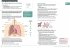 Collins GCSE Science - OCR Gateway GCSE... - Bild 5