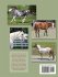 The Equine Tapestry - Bild 2