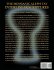 Messianic Aleph Tav Interlinear... - Bild 2