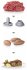 Bosch MFW 68660 Fleischwolf - Bild 9