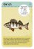Moses MOS09745 - Expedition Natur: 50... - Bild 2