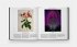 Plant: Exploring the Botanical World - Bild 7