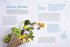 Smoothie oder Salat? - Bild 3