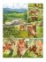 Macha / Bran Bd.2 - Bild 4