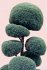 Insta Grammar: Green - Bild 2