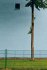 Insta Grammar: Green - Bild 3