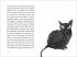 »Seither schlief sie bei meiner Frau« - Bild 3