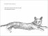 »Seither schlief sie bei meiner Frau« - Bild 6