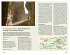 DuMont Reise-Taschenbuch Reiseführer... - Bild 5
