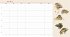 The Naturalist's Notebook - Bild 7
