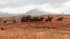 Red Dead Redemption 2 (PlayStation 4) - Bild 5