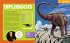 National Geographic Kids Ultimate... - Bild 5