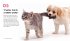 Dog Body Language - Bild 2
