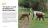 Dog Body Language - Bild 3