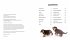Dog Body Language - Bild 4